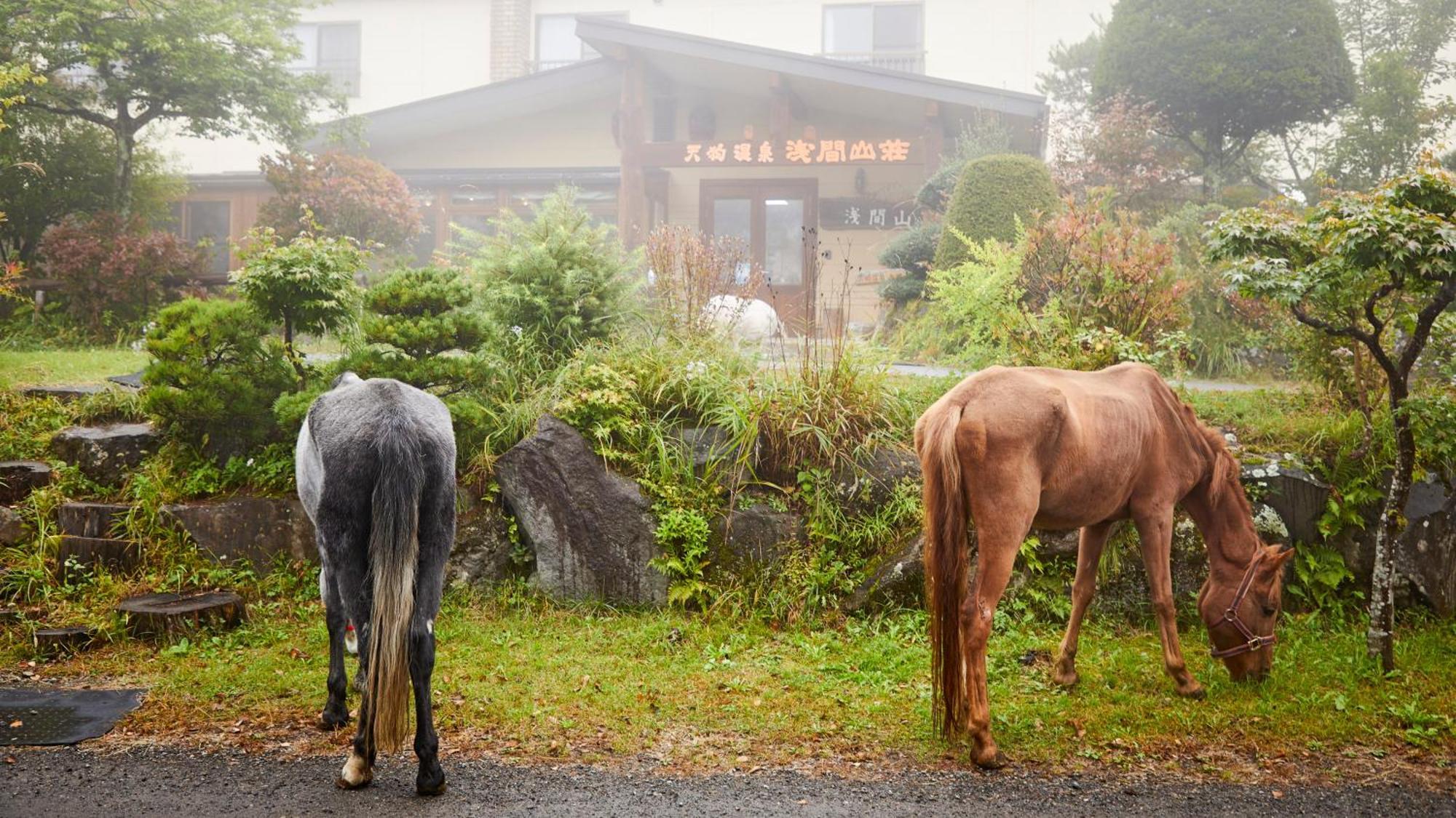 Tengu Onsen Asama Sanso Komoro Extérieur photo